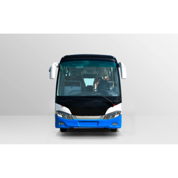 30 plas otobis touris elektrik